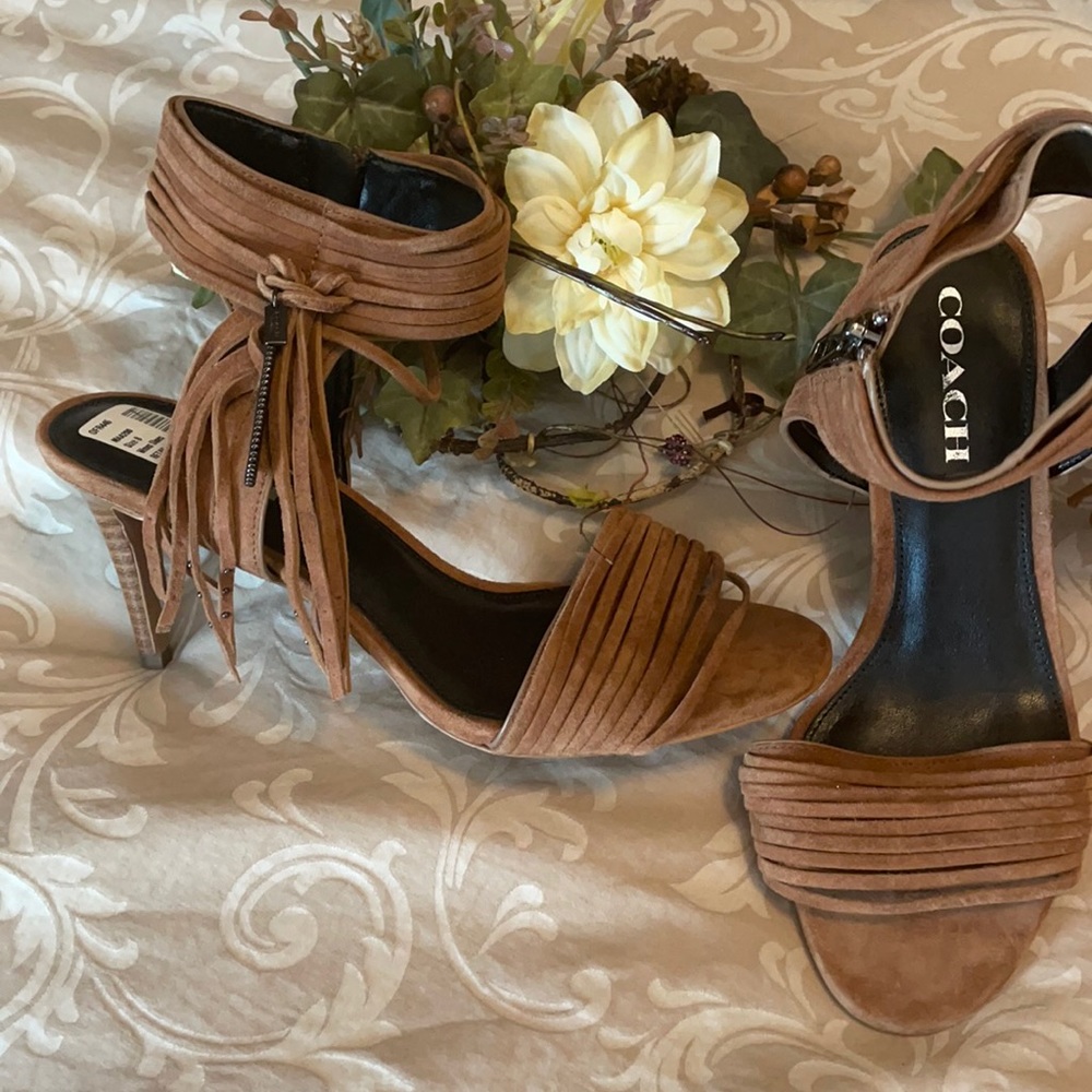 NWTs Coach Suede Brown Heels